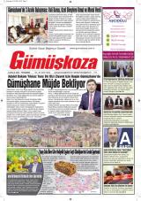GÜMÜŞKOZA