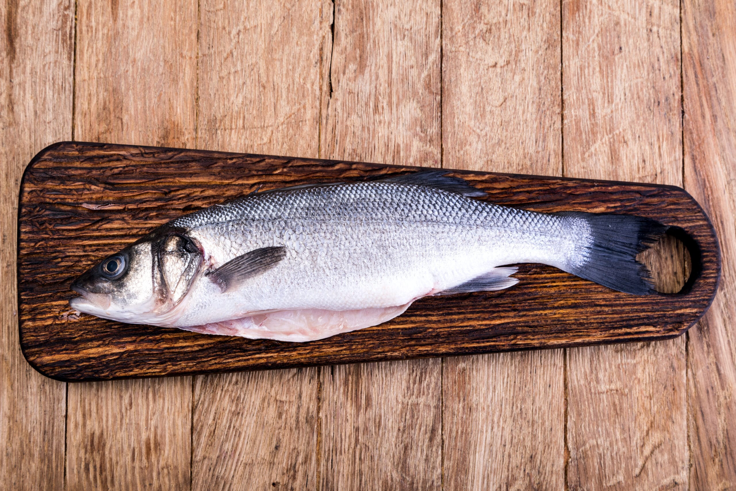 Levrek Oltacılığı